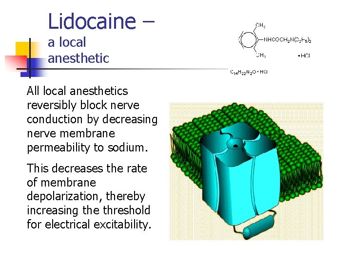 Lidocaine – a local anesthetic All local anesthetics reversibly block nerve conduction by decreasing