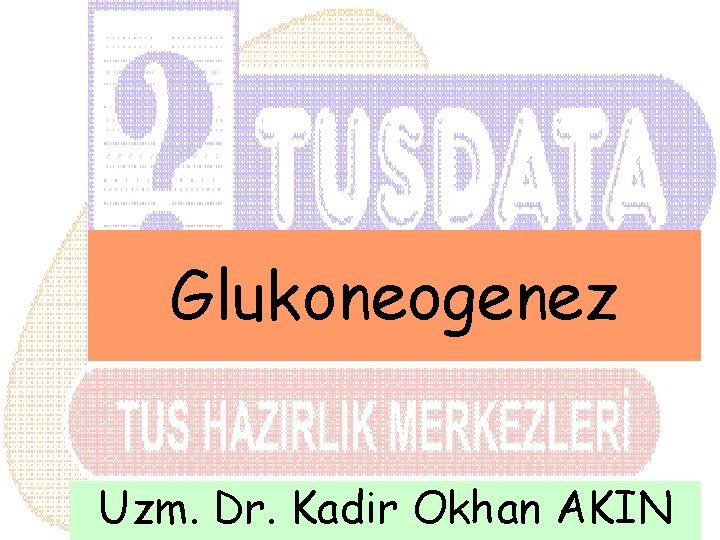 Glukoneogenez Uzm. Dr. Kadir Okhan AKIN 