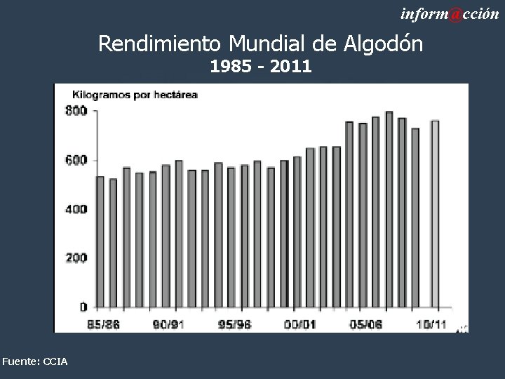 inform@cción Rendimiento Mundial de Algodón 1985 - 2011 Fuente: CCIA 