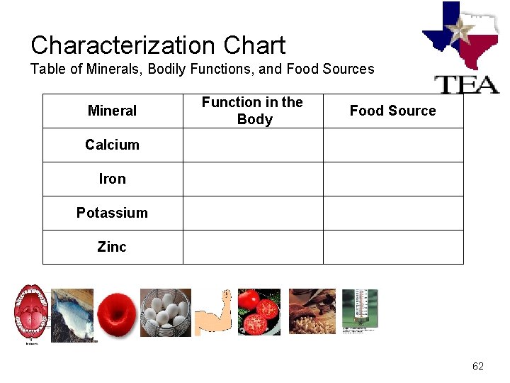 Characterization Chart Table of Minerals, Bodily Functions, and Food Sources Mineral Function in the Characterization Chart Table of Minerals, Bodily Functions, and Food Sources Mineral Function in the
