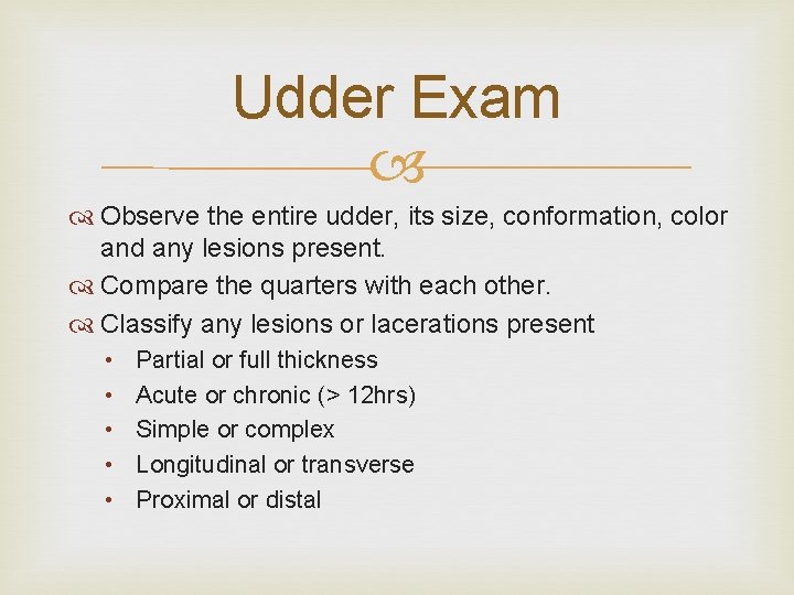 Udder Exam Observe the entire udder, its size, conformation, color and any lesions present.