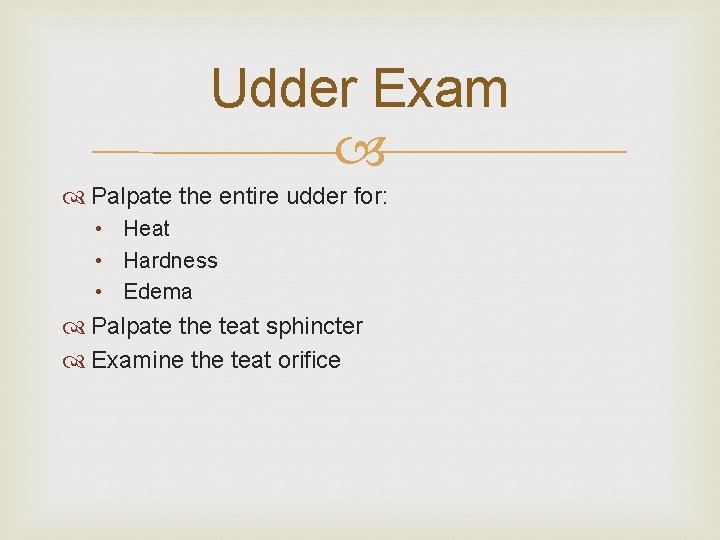 Udder Exam Palpate the entire udder for: • Heat • Hardness • Edema Palpate