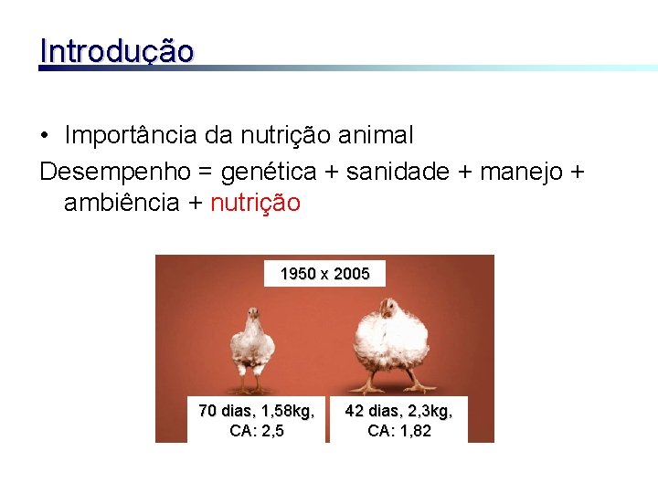 Introdução • Importância da nutrição animal Desempenho = genética + sanidade + manejo +