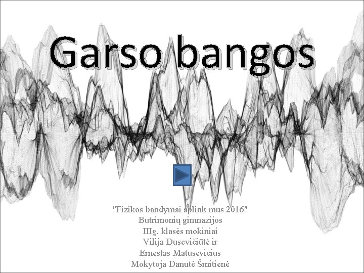 Garso bangos "Fizikos bandymai aplink mus 2016" Butrimonių gimnazijos IIIg. klasės mokiniai Vilija Dusevičiūtė