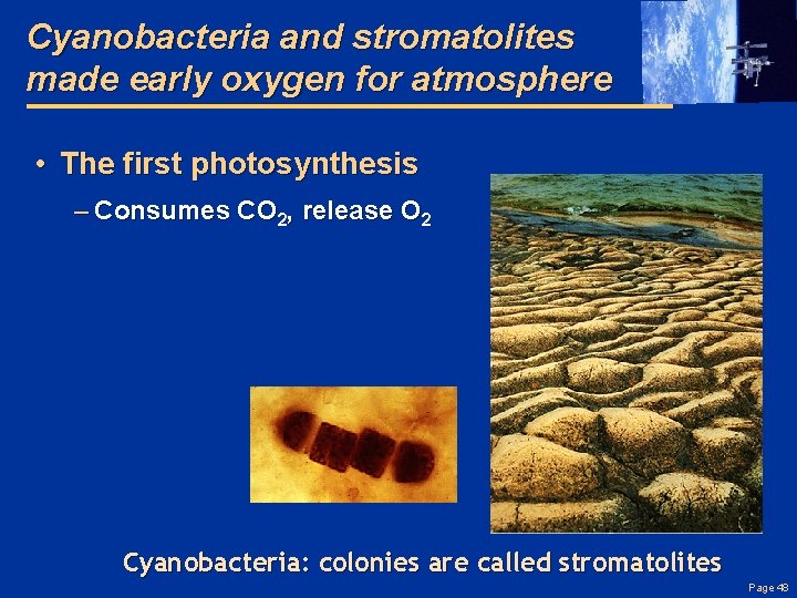 Cyanobacteria and stromatolites made early oxygen for atmosphere • The first photosynthesis – Consumes