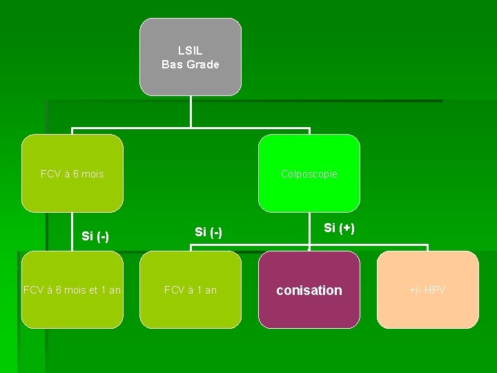 LSIL Bas Grade FCV à 6 mois Si (-) FCV à 6 mois et