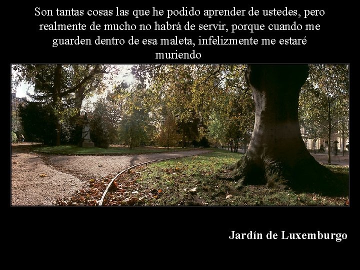 Son tantas cosas las que he podido aprender de ustedes, pero realmente de mucho Son tantas cosas las que he podido aprender de ustedes, pero realmente de mucho
