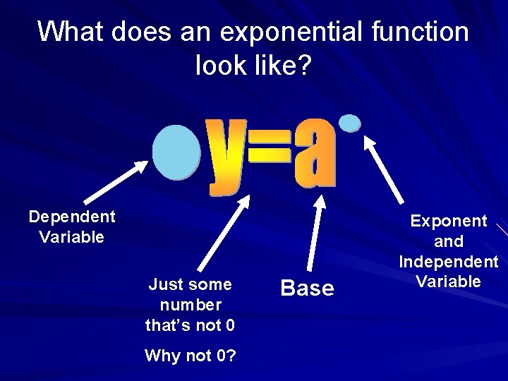 What does an exponential function look like? Dependent Variable Just some number that’s not