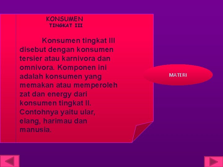 KONSUMEN TINGKAT III Konsumen tingkat III disebut dengan konsumen tersier atau karnivora dan omnivora.