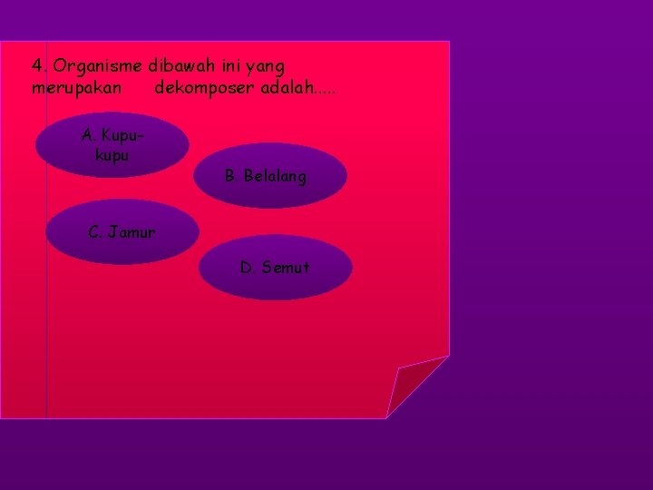 4. Organisme dibawah ini yang merupakan dekomposer adalah. . . A. Kupu kupu B.