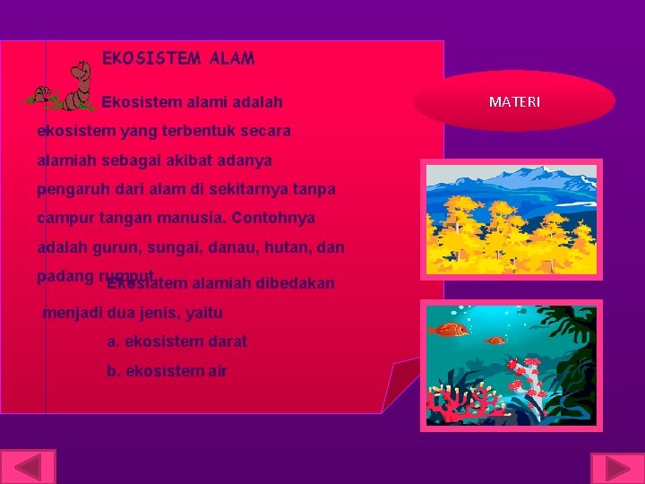 EKOSISTEM ALAM Ekosistem alami adalah ekosistem yang terbentuk secara alamiah sebagai akibat adanya pengaruh