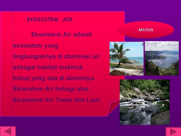 EKOSISTEM AIR Ekosistem Air adalah ekosistem yang lingkungannya di dominasi air sebagai habitat makhluk