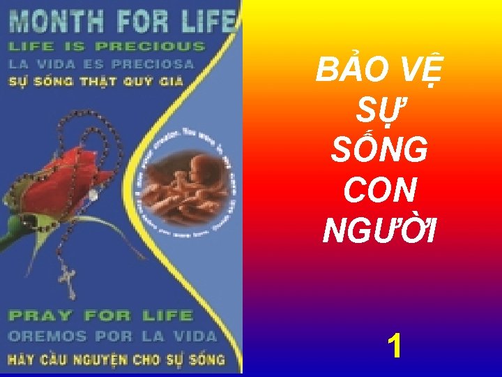 BẢO VỆ SỰ SỐNG CON NGƯỜI 1 