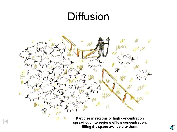 Diffusion Particles in regions of high concentration spread out into regions of low concentration,