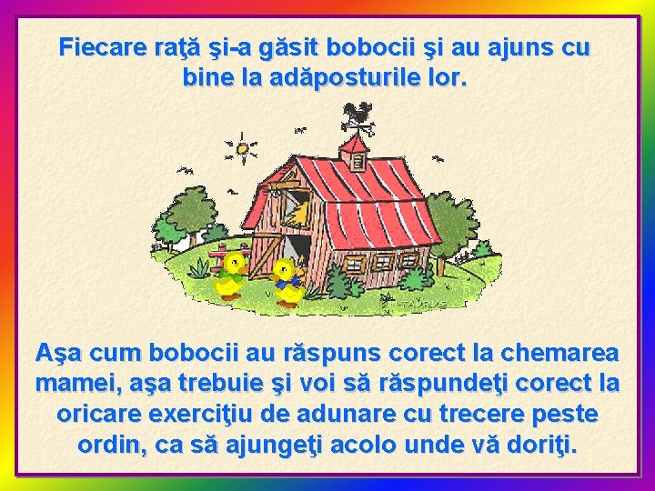 Fiecare raţă şi-a găsit bobocii şi au ajuns cu bine la adăposturile lor. Aşa