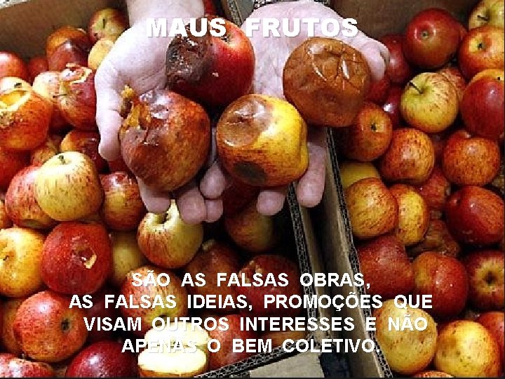 GUARDAI-VOS DOSFRUTOS FALSOS PROFETAS MAUS BONS FRUTOS SÃO AS FALSAS OBRAS, SÃO AS OBRAS