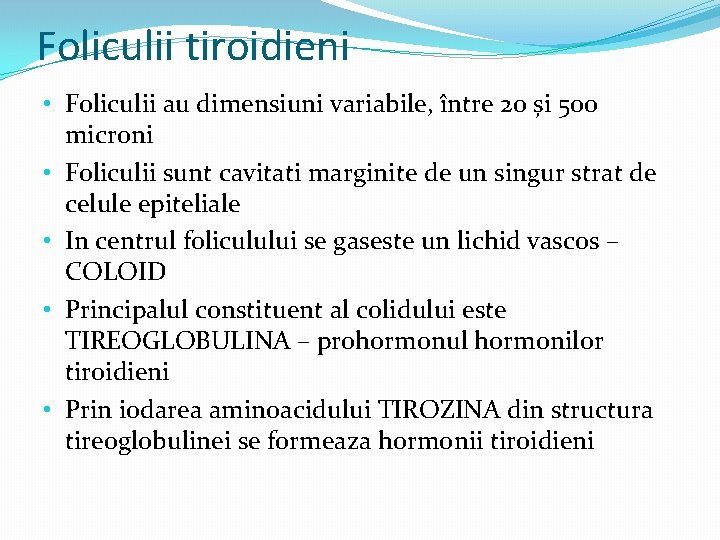 Foliculii tiroidieni • Foliculii au dimensiuni variabile, între 20 și 500 microni • Foliculii