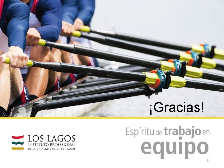 ¡Gracias! 15 
