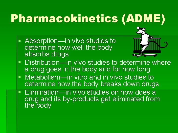 Pharmacokinetics (ADME) § Absorption—in vivo studies to determine how well the body absorbs drugs