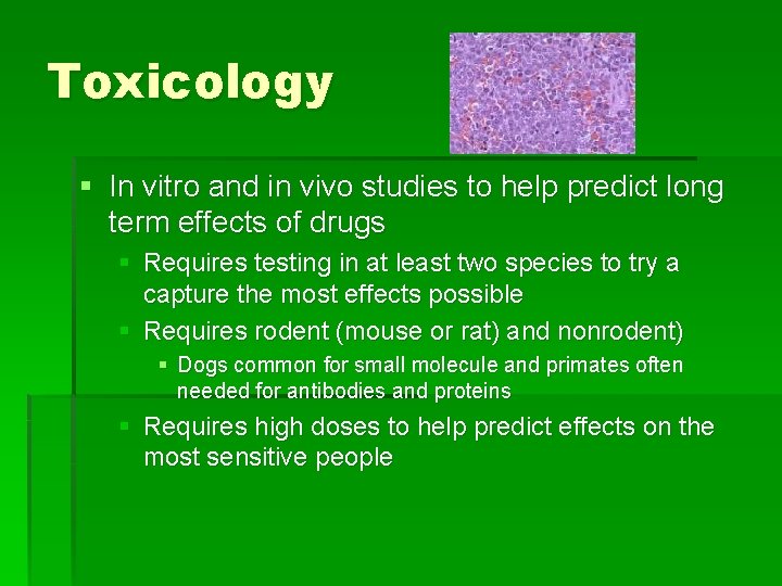 Toxicology § In vitro and in vivo studies to help predict long term effects