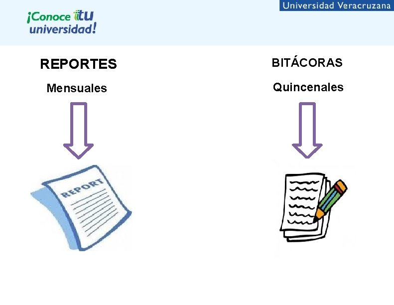 REPORTES BITÁCORAS Mensuales Quincenales 