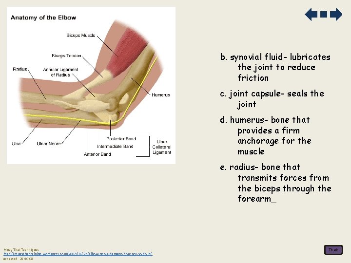b. synovial fluid- lubricates the joint to reduce friction c. joint capsule- seals the