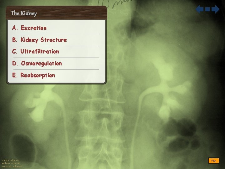 The Kidney A. Excretion B. Kidney Structure C. Ultrafiltration D. Osmoregulation E. Reabsorption author
