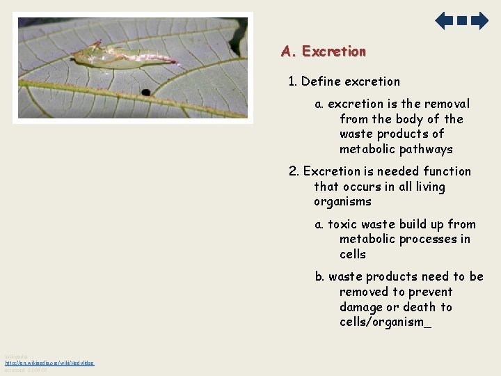 A. Excretion 1. Define excretion a. excretion is the removal from the body of