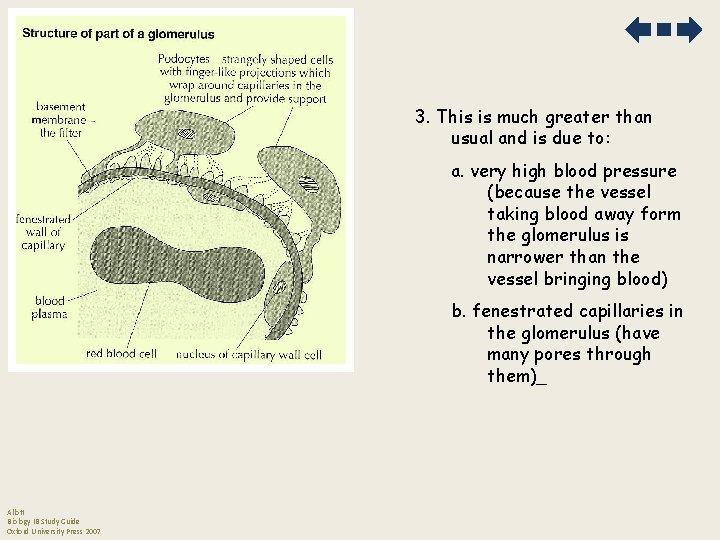 3. This is much greater than usual and is due to: a. very high