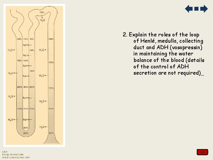 2. Explain the roles of the loop of Henlé, medulla, collecting duct and ADH