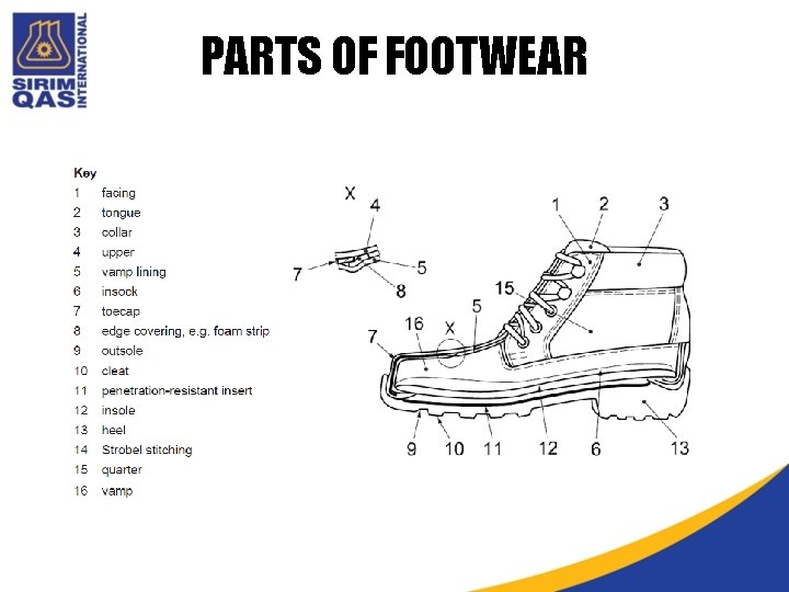 PARTS OF FOOTWEAR PARTS OF FOOTWEAR