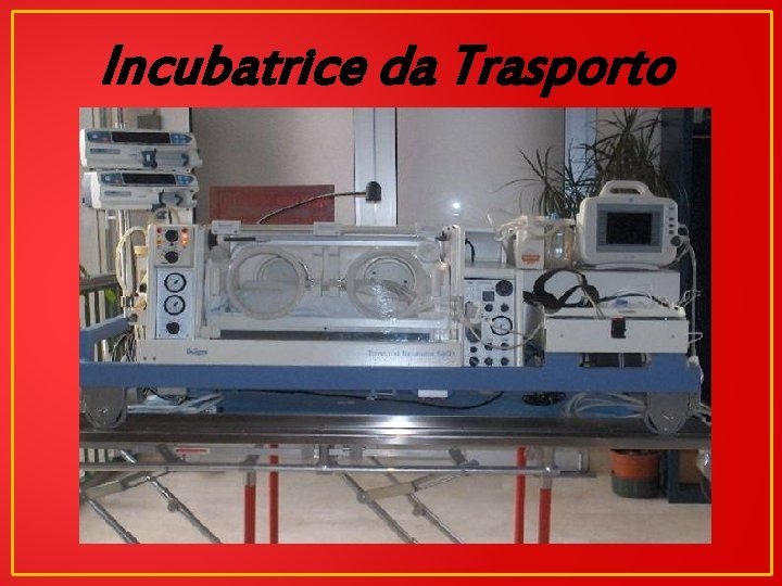 Incubatrice da Trasporto 