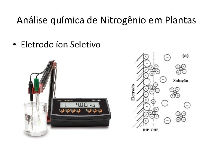Análise química de Nitrogênio em Plantas • Eletrodo íon Seletivo 