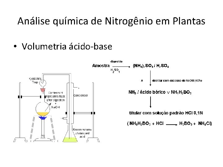 Análise química de Nitrogênio em Plantas • Volumetria ácido-base 