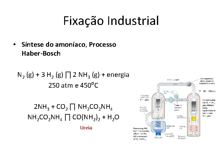 Fixação Industrial • Síntese do amoníaco, Processo Haber-Bosch N 2 (g) + 3 H