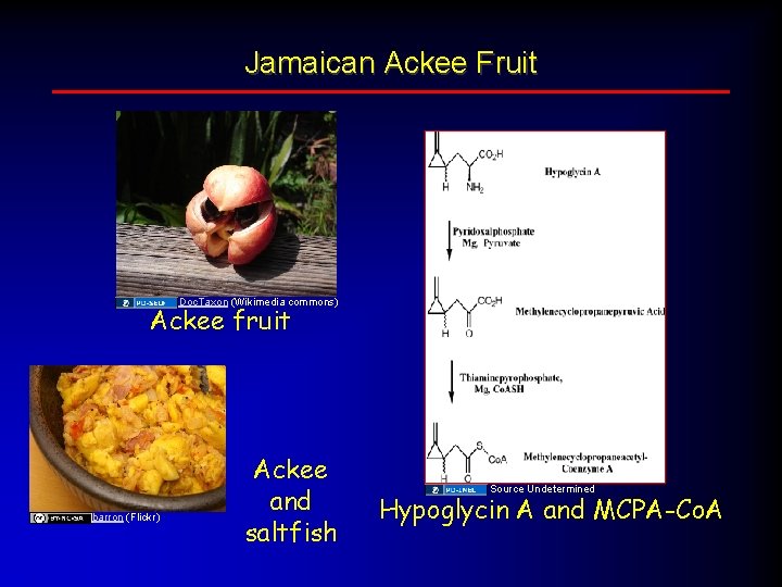 Jamaican Ackee Fruit Doc. Taxon (Wikimedia commons) Ackee fruit barron (Flickr) Ackee and saltfish