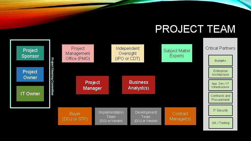PROJECT TEAM Project Owner IT Owner Project Steering Committee Project Sponsor Project Management Office PROJECT TEAM Project Owner IT Owner Project Steering Committee Project Sponsor Project Management Office