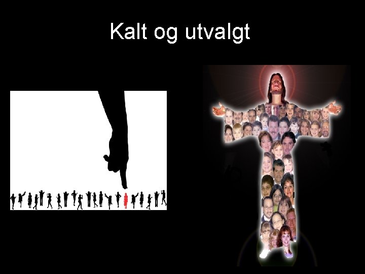 Kalt og utvalgt 