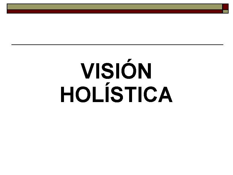 VISIÓN HOLÍSTICA 