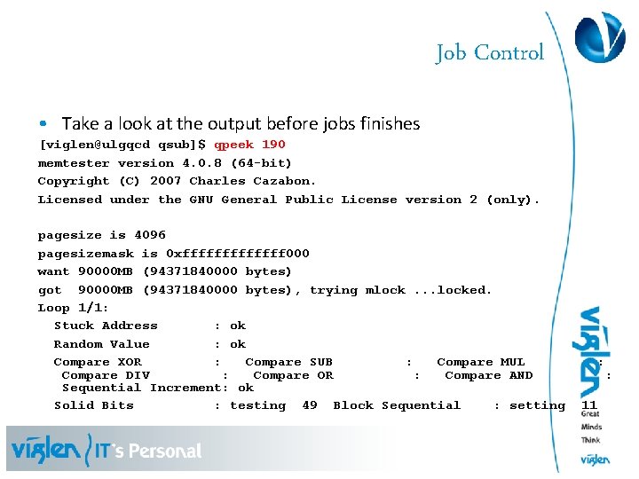 Job Control • Take a look at the output before jobs finishes [viglen@ulgqcd qsub]$