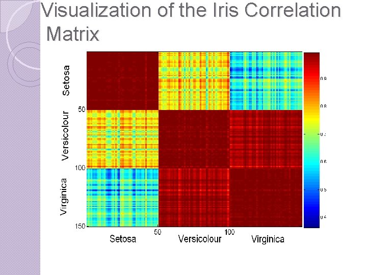 Visualization of the Iris Correlation Matrix 