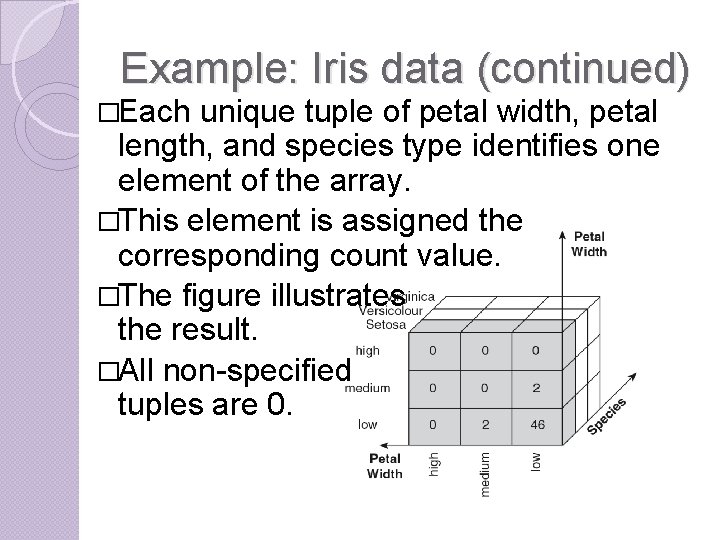 Example: Iris data (continued) �Each unique tuple of petal width, petal length, and species