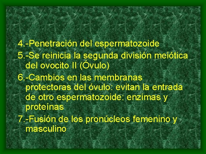 4. -Penetración del espermatozoide 5. -Se reinicia la segunda división meiótica del ovocito II