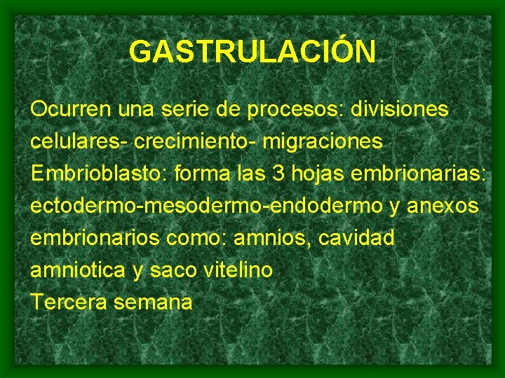 GASTRULACIÓN Ocurren una serie de procesos: divisiones celulares- crecimiento- migraciones Embrioblasto: forma las 3