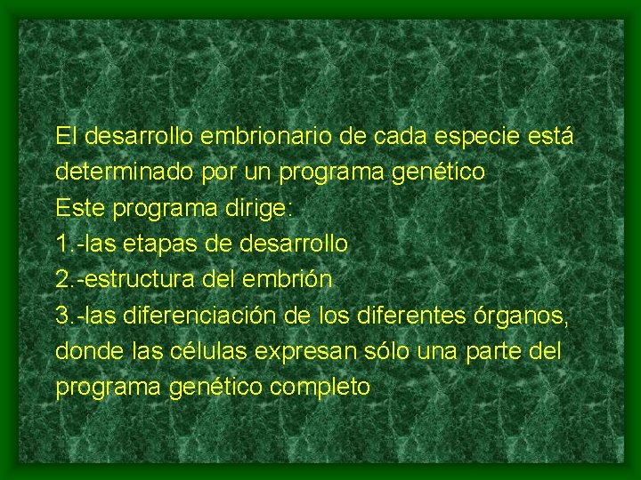 El desarrollo embrionario de cada especie está determinado por un programa genético Este programa