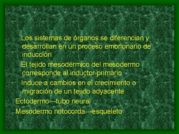 Los sistemas de órganos se diferencian y desarrollan en un proceso embrionario de inducción