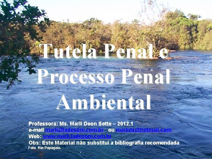 Tutela Penal e TUTELA e RESPONSABILIDADE PENAL Processo Penal Lei 9605/98 Ambiental Lei da Tutela Penal e TUTELA e RESPONSABILIDADE PENAL Processo Penal Lei 9605/98 Ambiental Lei da