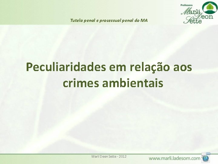Tutela penal e processual penal do MA Peculiaridades em relação aos crimes ambientais Marli Tutela penal e processual penal do MA Peculiaridades em relação aos crimes ambientais Marli