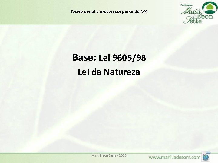 Tutela penal e processual penal do MA Base: Lei 9605/98 Lei da Natureza Marli Tutela penal e processual penal do MA Base: Lei 9605/98 Lei da Natureza Marli