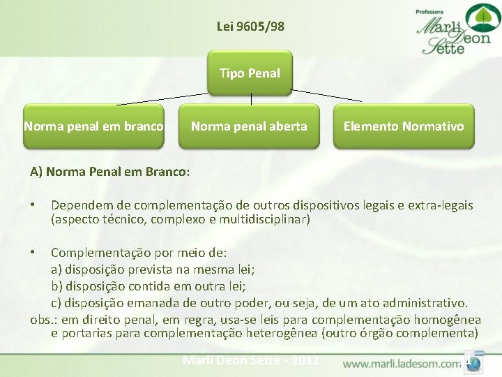 Lei 9605/98 Tipo Penal Norma penal em branco Norma penal aberta Elemento Normativo A) Lei 9605/98 Tipo Penal Norma penal em branco Norma penal aberta Elemento Normativo A)